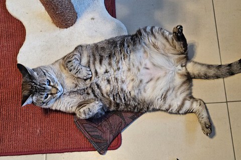 20250718_203517.jpg